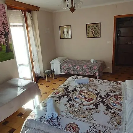 Orchidea Reale * Venaria Reale